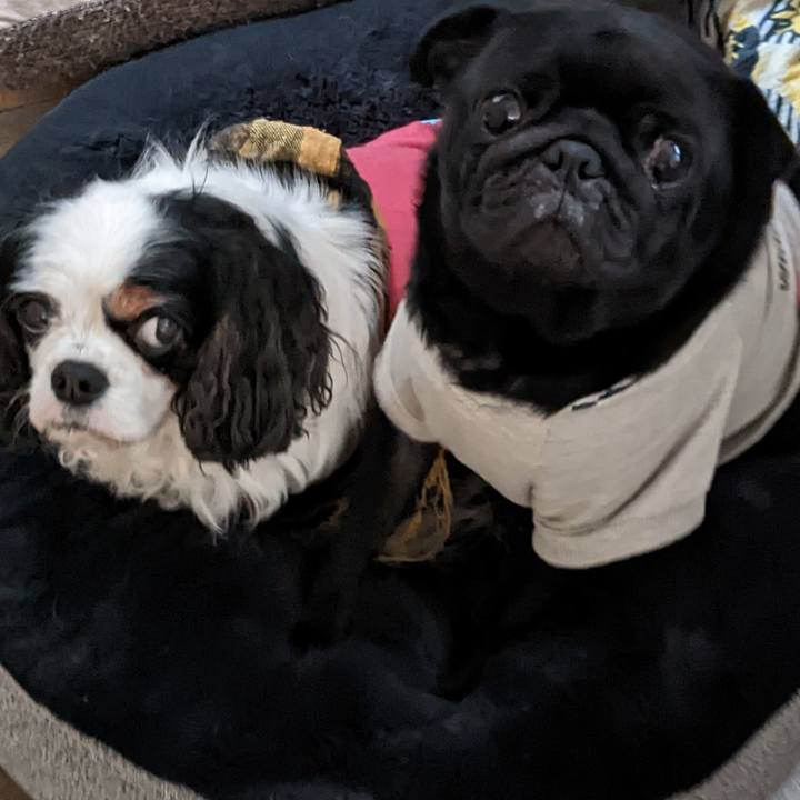 3adc645c e582 46dd b575 c780694aca1d 1671517652376