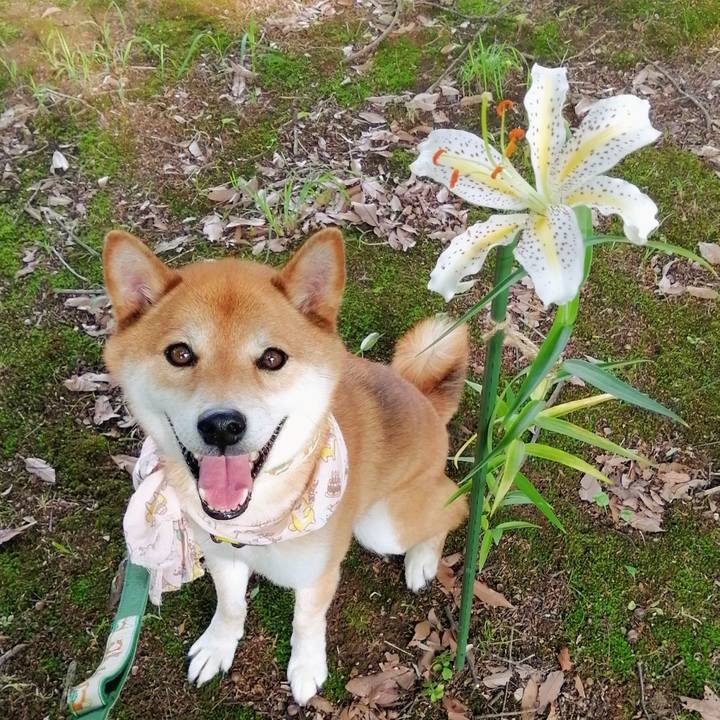 3adc9f5e 314d 48ce aaf2 d558f9efda11 1625904274584