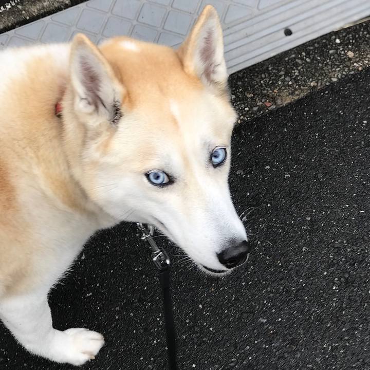 3add013b 370c 4ce4 83ae 5c9b13c5f22d 1645340214555