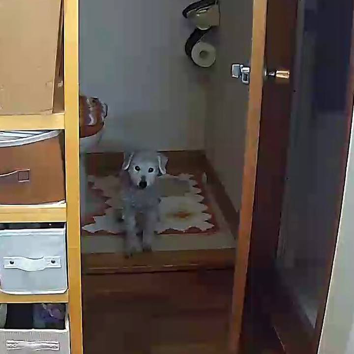 3add0a85 390b 4cf0 8c9e f1b31da5d44c 1646269247756