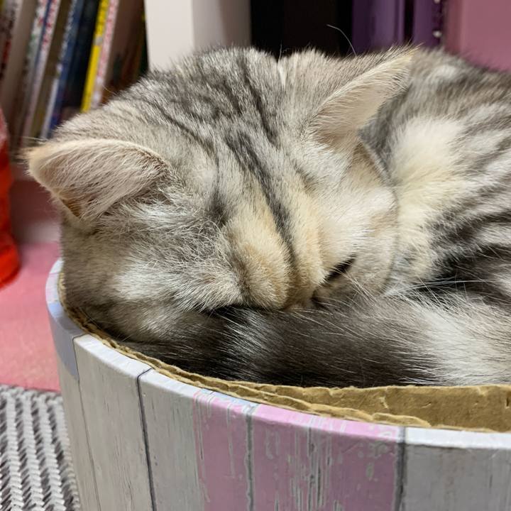 3add3162 f77e 49e4 bcd0 f93441d1c4fa 1708086554473