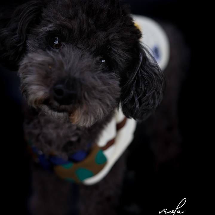 3add3e94 2ecd 43f5 8892 4076360f27ee 1703149410119