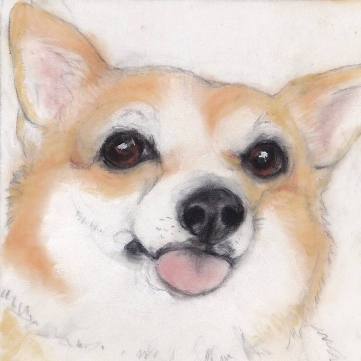 3add583a bf9a 43f0 939c c587f221e099 1748624377412