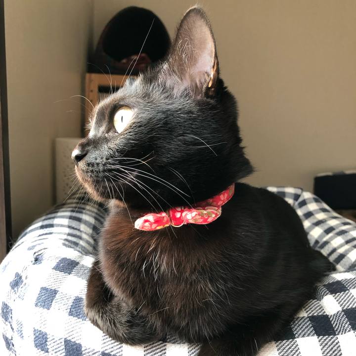 3add70d6 42ac 4b5f b0b1 65995c22859f 1511909087115