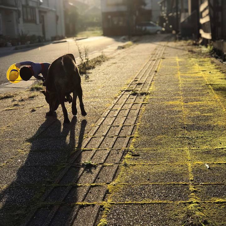 3add8455 b1b4 479c abaa 4c92e8f29a2b 1540077173149