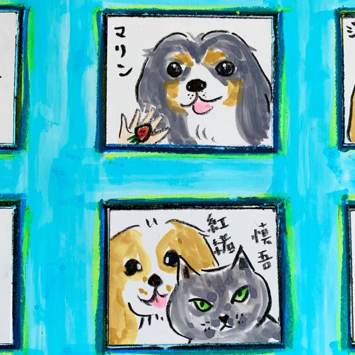 3adda5a2 c96d 42b1 93a7 e52c947492dd 1591852885763