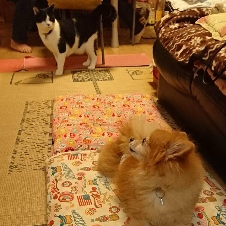 3addac5f 13c6 40b5 99c8 ac9cae8a2eaa 1510089613645