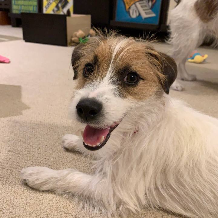 3addd4cf 8f3f 4605 9208 910c606979f9 1769780056994