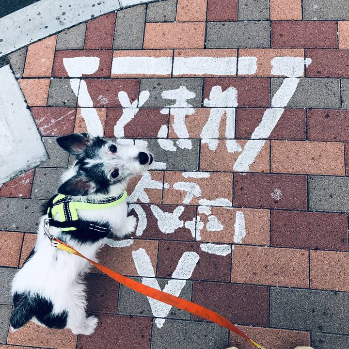 3adde3fe fefe 44d6 bd57 70b9f527c537 1563158113215