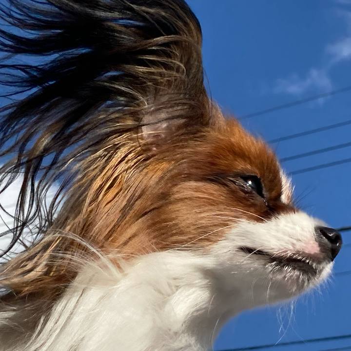 3ade0fcc 2285 46e4 abd8 8dd2d1a0e795 1638331218176