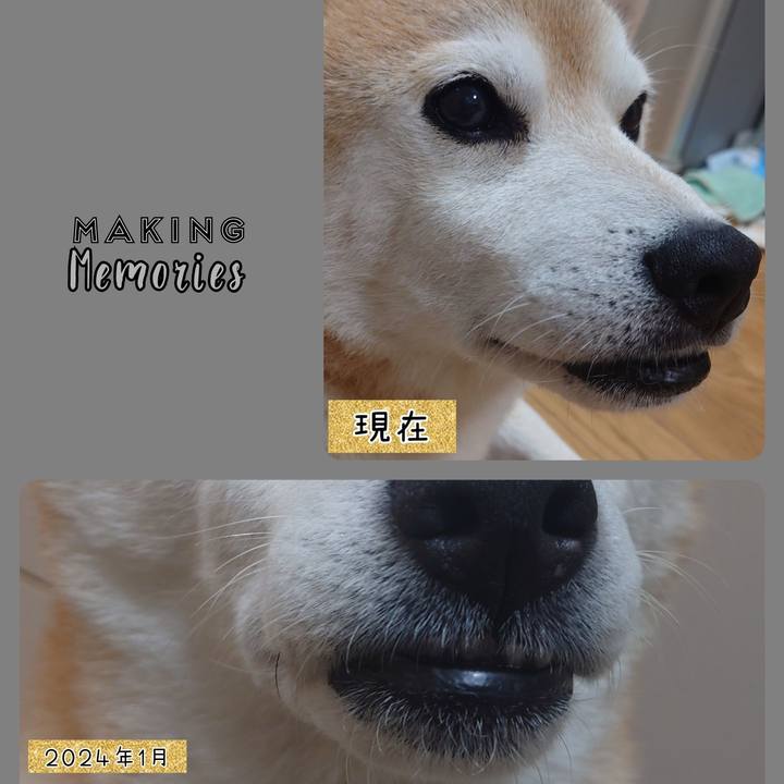 3ade398d aaa0 4c0a 84a9 b26f7ba1e506 1730520779052