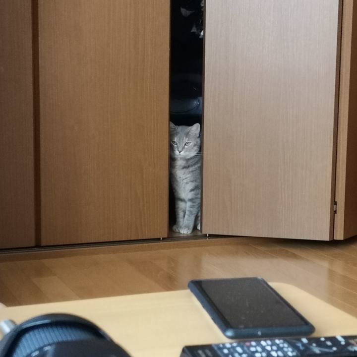 3ade4da8 15df 4bba 8ece 87817b9178fd 1562385667791