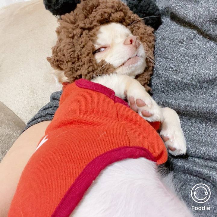 3ade5307 6d6d 4d47 851d 3db35a62f0cf 1605068968273