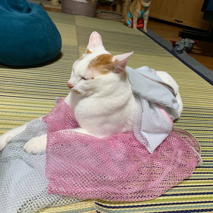 3ade62c3 f96f 433a b76b afa7be9f1b42 1561126660854