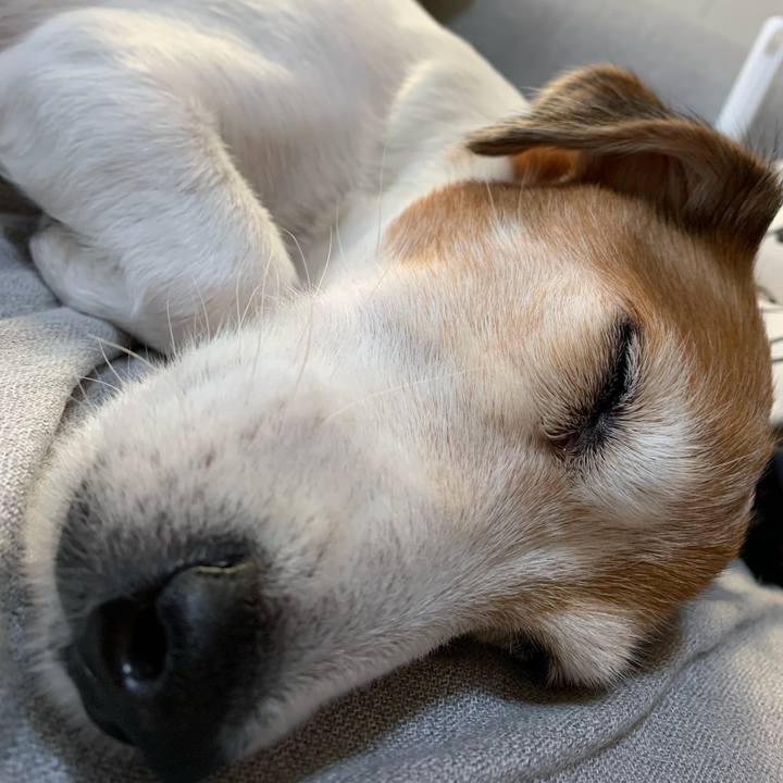 3adea468 bdd3 4e8c 9a17 a3589866931c 1583042409377