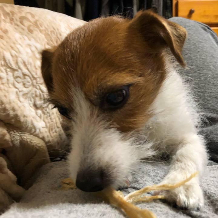 3adf08f2 0d2d 46dc bbc6 33e70fd3cb0c 1550998732439