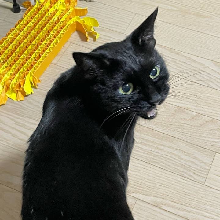 3adf211c 74f0 4c46 a3cf 3c9f37ef2022 1764425802269