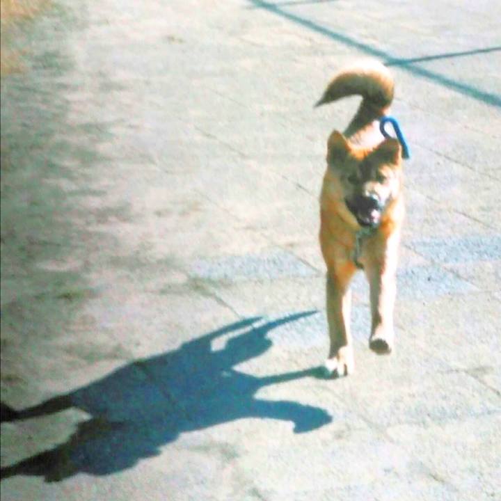 3adf3bf5 a765 4d7f 8013 c7f82f5a9b09 1723557497203