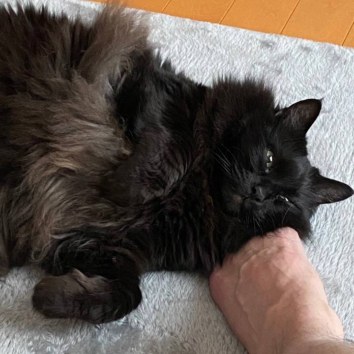 3adf6df6 c4b2 4985 8e48 ac5a32531040 1647321459864