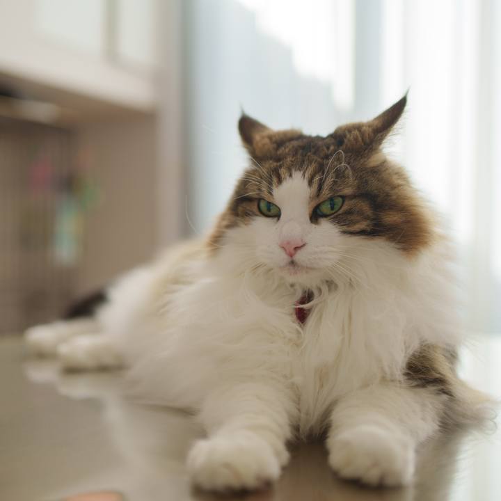 3adf77ff c584 4757 a635 16875a5abe05 1756798079340