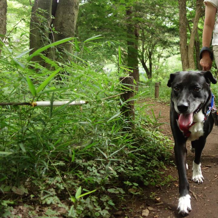 3adf8477 1687 4a60 8bd7 bb98ee1093f5 1687825825034