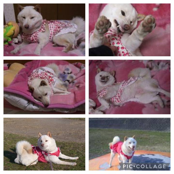 3adf89cf 021d 4289 bfba 0d5d8a1dbe40 1647927003627