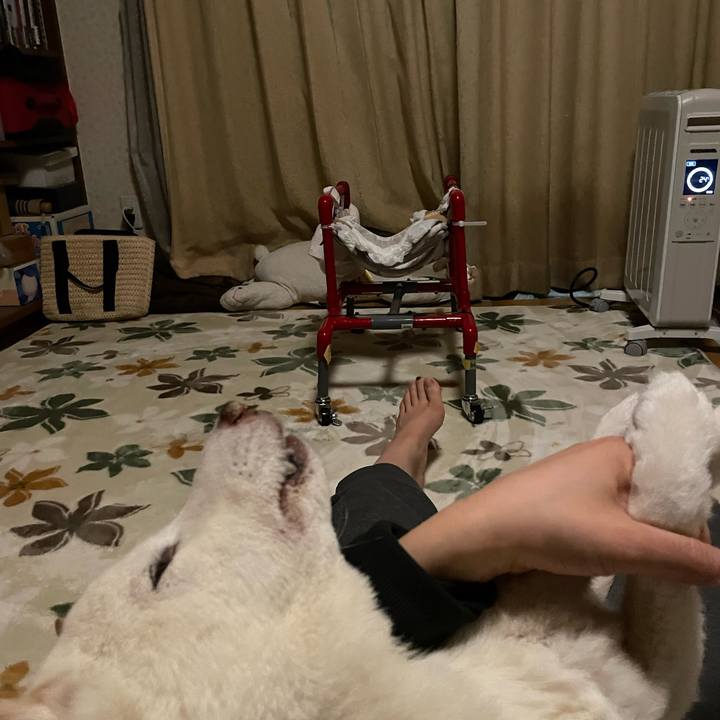 3adfc57e 0299 4b66 bcde 83c69db5f0b9 1674503334476