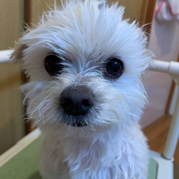 3adfcbaa 2d25 4b01 ab2e a32af8e85b5a 1650270432168