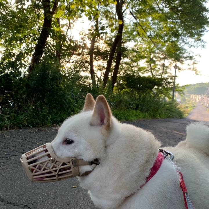 3ae009d0 f4b0 421c aad0 4735f3ff78ed 1567722171108