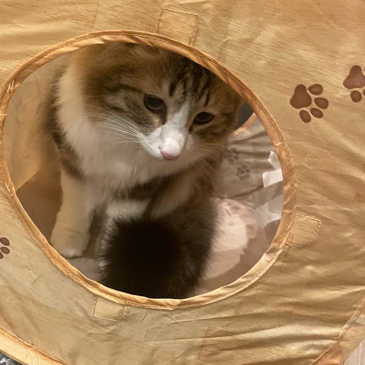 3ae02e9e 922f 47b3 824f 9c2521e542b9 1768821067119