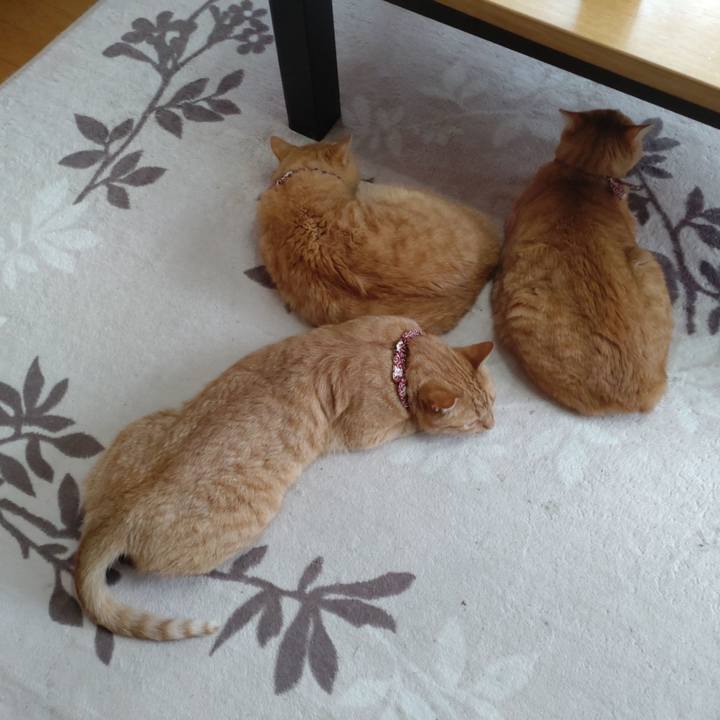 3ae07111 0659 417f 91b8 52f0616cac60 1652860189961