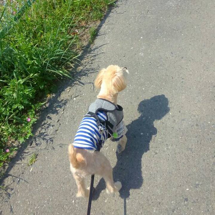 3ae0a7c7 9e97 40ef be08 83e1bdf32653 1525053527317