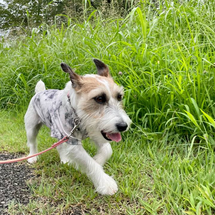 3ae0ba85 6854 4c5b 8255 db27ca0ec181 1661759073731