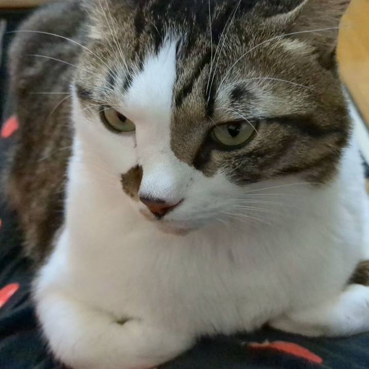 3ae0fd46 72e3 4bd6 96de 3ea3e1aca8be 1734256559529