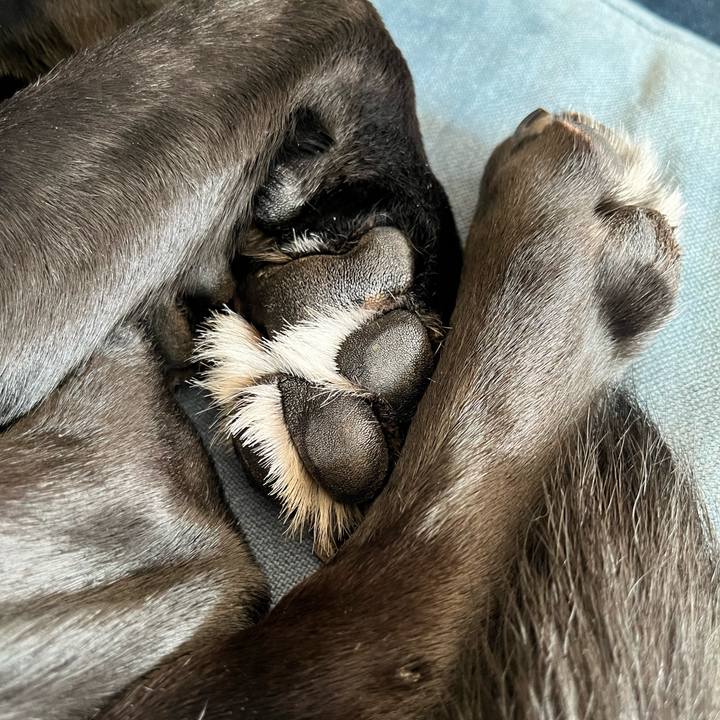 3ae11daf f891 4d0b bfed c5c1ae563e2c 1704444273555