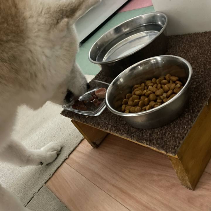 3ae12421 e210 44cb b3ae 3a9bd5e3ce04 1702040538103