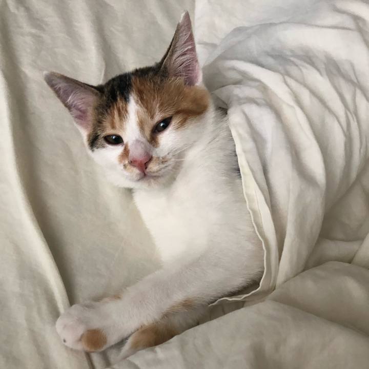 3ae1c426 48c4 49dc b7f4 df83636d02b5 1566170924508