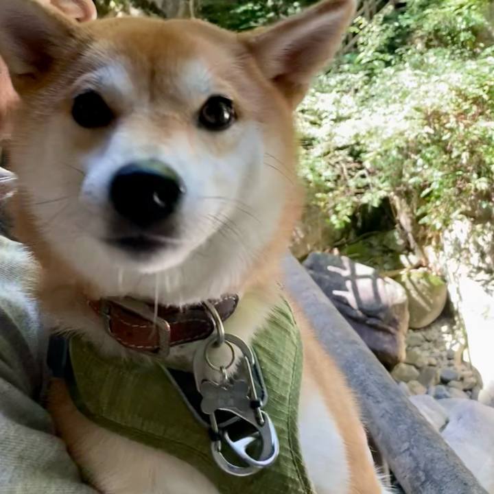 3ae1f687 aaf1 42a5 944e 2a11725d29b3 1696982581664