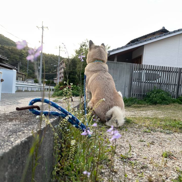 3ae2130c 2c7d 49f8 bc4b e5169ad9ae4d 1650285042546