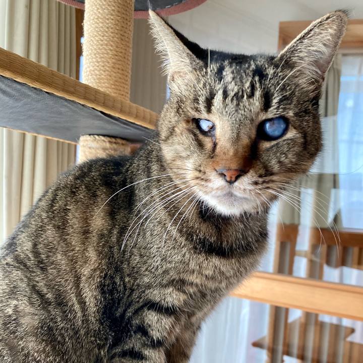 3ae2175e 9cd0 40e4 a26d 404d96c5129b 1640931345874