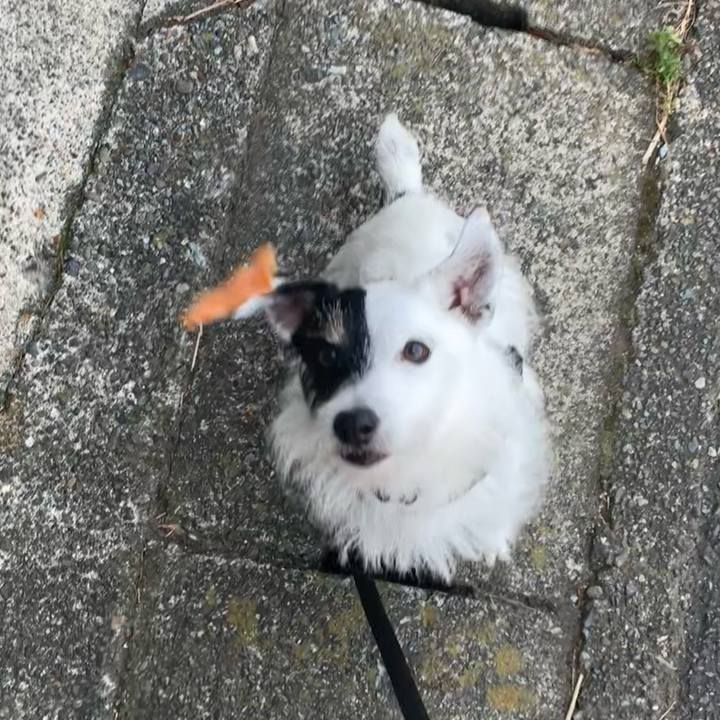 3ae2356b add9 4fc4 a64a a3b4ffda96e5 1751756107728