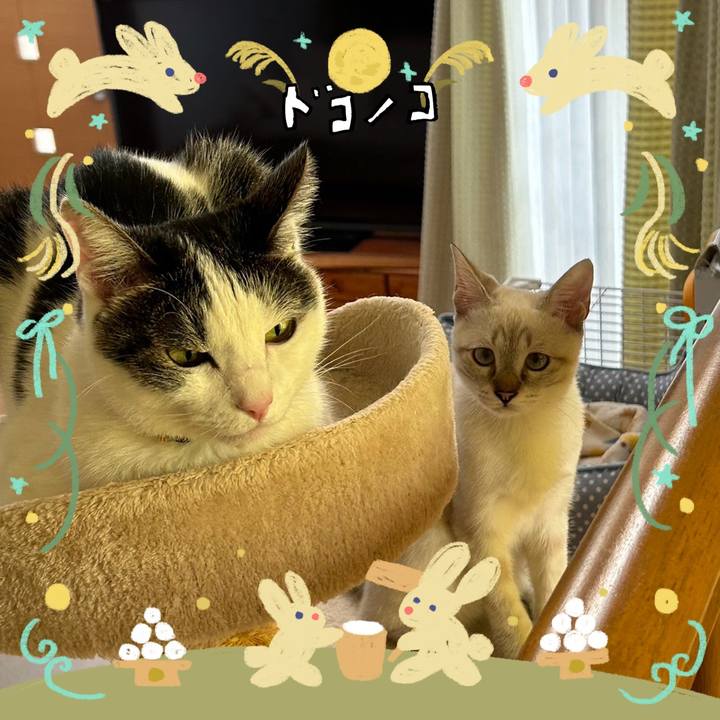 3ae24bdc 3f1b 4c70 9ffd 2e7dc2eaa5e7 1727081940298