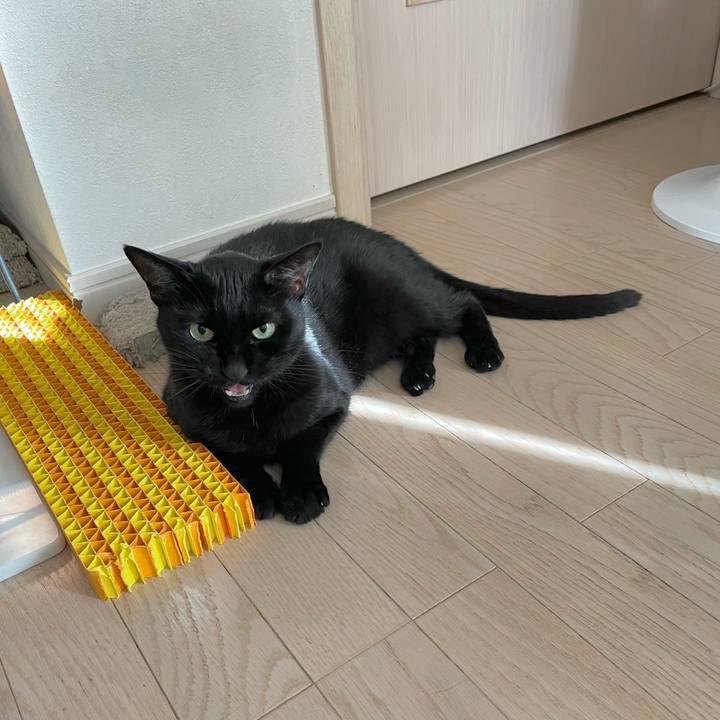 3ae25f96 8f2d 4ff7 b151 70be0822dbe8 1662820275220