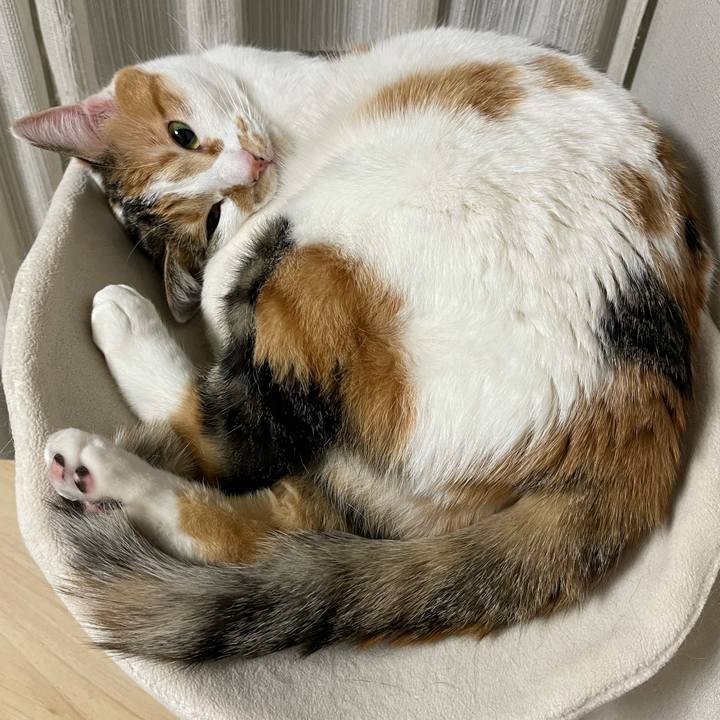 3ae27c03 bd5e 49ab bb09 f8dc5e603752 1615039231835