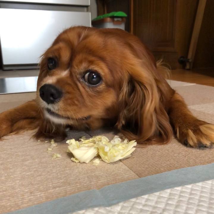 3ae28b10 f04c 4265 9ea6 571e41c0929c 1594765159961