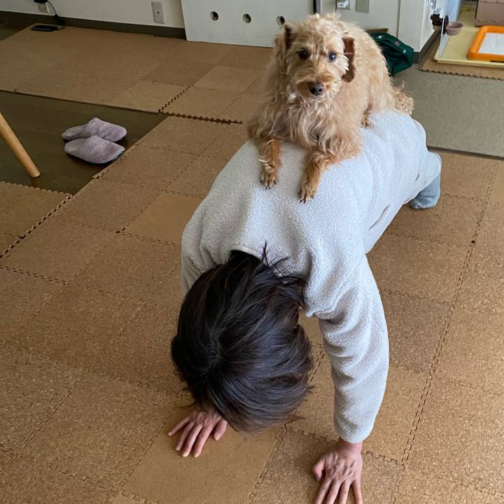 3ae2b3cb 6b00 4105 82cc 757d343f15ed 1645336215098