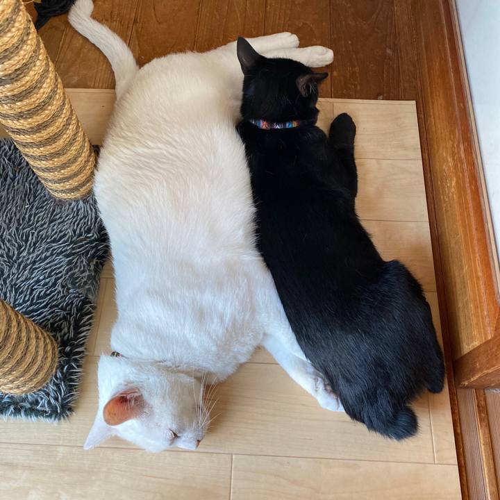 3ae2d574 af01 4058 a12f 96a4e691fbc9 1626499191485