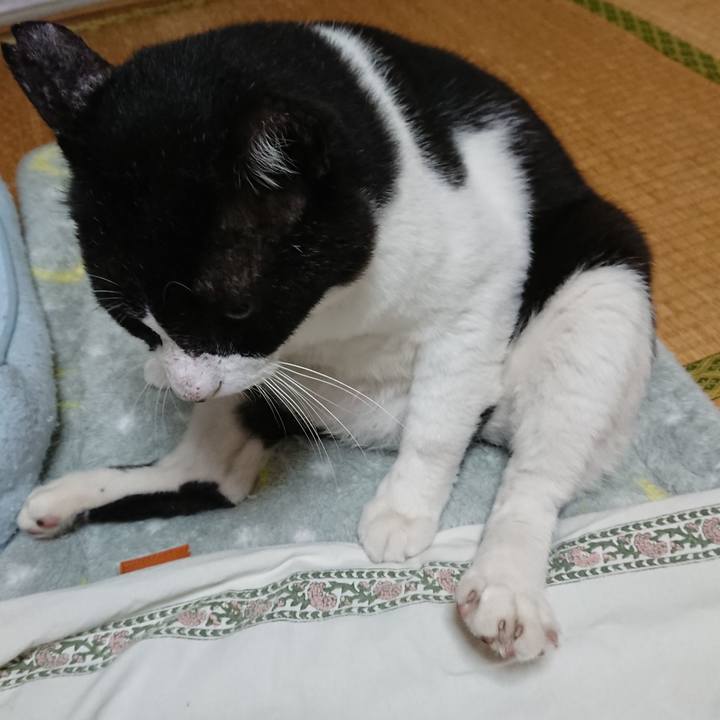 3ae2e365 f276 402b 80ea c814438120cd 1537952876590