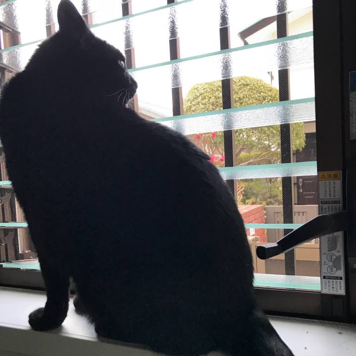 3ae31691 0987 493e 8e66 e2b6f29af7e9 1516584622672