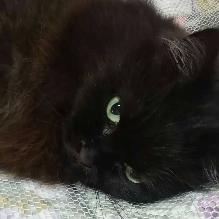 3ae31e4b 75ed 4969 80d2 1bb2f8cfff9b 1522453462471